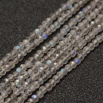 Natural Labradorite Beads Strands, Faceted, Round, Grade AA, 2mm, Hole: 0.5mm, about 155~160pcs/strand, 15.3 inch(38~39cm)