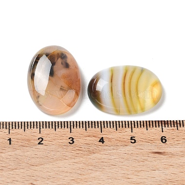 Natural Striped Agate/Banded Agate Cabochons(G-H296--01D-04)-3