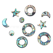 12Pcs 6 Styles Natural Abalone Shell/Paua Shell Beads, Star & Moon & Flat Round & Ring, Mixed Shapes, 6~15.3x6~12.5x3~3.5mm, Hole: 0.8~1mm, 2pcs/style(SSHEL-DC0001-01)
