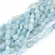 Natural Aquamarine Beads Strands, Nuggets, 7~14x7~8x3.5~7mm, Hole: 0.7mm, about 44pcs/Strand, 15.75 inch(40cm)(G-D0004-A02-04)