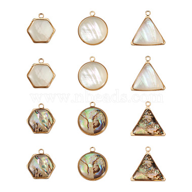 craftdady 12pcs 6 styles ensembles de pendentifs en coquillage naturel(SHEL-CD0001-03)-2