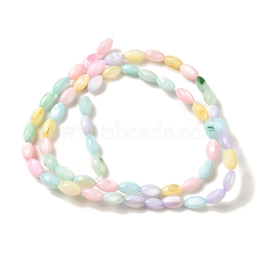 Rainbow Color Dyed Natural Freshwater Shell Beads Strands(SHEL-G018-02H)-2