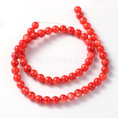 Shell Beads Strands(PBB439Y-1)-2
