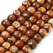 Natural Picture Jasper Beads Strands, Faceted, Cube, 7x8x7mm, Hole: 1mm, about 47~48pcs/strand, 13.35~13.46''(33.9~34.2cm)(G-H028-A06-01)