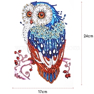 DIY Owl Diamond Painting Sticker Kits, including Self Adhesive Sticker, Resin Rhinestones, Diamond Sticky Pen, Tray Plate and Glue Clay, Colorful, Owl: 240x170mm(DIAM-PW0001-196C)