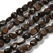 Natural Bronzite Beads Strands, Nuggets, Tumbled Stone, 7~13x4.5~10x4.5~10mm, Hole: 1.2mm, about 44~46pcs/strand, 15.08~16.14 inch(38.3~41cm)(G-P497-01E-77)