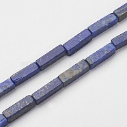 Natural Lapis Lazuli Beads Strands, Cuboid, 13~16x3~5x3~5mm, Hole: 0.5mm, about 29~31pcs/strand, 15.3~15.7 inch(39~40cm)(X-G-G968-D03)