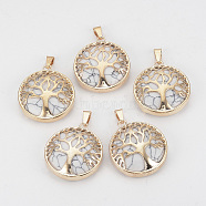 Synthetic Howlite Pendants, with Brass Findings, Flat Round with Tree of Life, Golden, 30.5x27x8mm, Hole: 7x3mm(G-S292-10L-G-1)