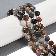 Natural Ocean Jasper Beads Strands, Faceted, Bicone, Double Terminated Point Prism Beads, 8x7mm, Hole: 1.2mm, about 40pcs/strand, 15.16''(38.5cm)(G-O201B-129F)