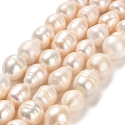 Natural Cultured Freshwater Pearl Beads Strands, Rice, Grade AB, PapayaWhip, 11~13x12~15mm, Hole: 0.6mm, about 25~29pcs/strand, 14.17~14.41''(36~36.6cm)(PEAR-E016-108)