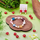 10Pcs Handmade Lampwork Beads(LAMP-TADJ0001-01A)-6