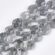 Natural Labradorite Beads Strands, Faceted, teardrop, 18x13~13.5x5.5~6mm, Hole: 1.2mm, about 11pcs/strand, 7.8 inch(G-S354-07)
