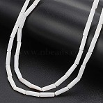 2 Strands Natural Freshwater Shell Beads Strands, Column, White, 13x4mm, Hole: 0.5~1mm, about 30pcs/strand, 15 inch(38.1cm)(BSHE-WR0001-03)