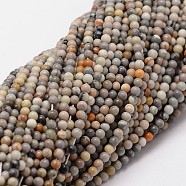 Natural Polychrome Jasper/Picasso Stone/Picasso Jasper Beads Strands, Round, 2mm, Hole: 0.5mm, about 190pcs/strand(X-G-N0191-01-2mm)