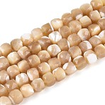 Natural Trochid Shell/Trochus Shell Beads Strands, Cube, Faceted, BurlyWood, 4~4.5x4~4.5x4~4.5mm, Hole: 0.6~0.7mm, about 90~91pcs/strand, 14.96~15.16 inch(38~38.5cm)(BSHE-T014-53)