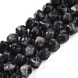 Natural Larvikite Beads Strands, Round, Faceted, 9.5~10x9~9.5x9~9.5mm, Hole: 1mm, about 38~39pcs/strand, 13.78~14.8''(35~37cm)(G-T141-04A)