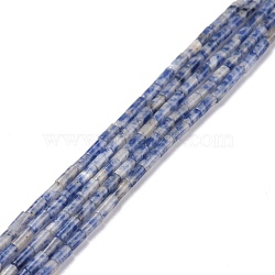 Natural Blue Spot Jasper Beads Strands, Undyed, Column, 3.8~4.3x2.4mm, Hole: 0.9mm, about 87pcs/strand, 14.88~15.12 inch(37.8~38.4cm)(G-M389-08)