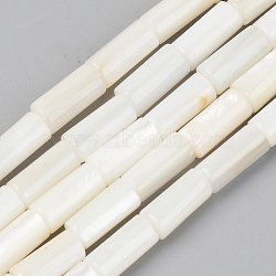 Natural Freshwater Shell Beads Strands, Column, Seashell Color, 10x5mm, Hole: 0.9mm, about 38pcs/Strand, 14.96 inch(38cm)(SSHEL-R048-006B)