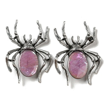 Dual-use Items Alloy Pave Dyed Shell Spider Brooch, with Jet Rhinestone, Antique Silver, Old Rose, 57.5~58x41.5~42x12.5mm, Hole: 4x3mm