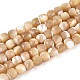 Natural Trochid Shell/Trochus Shell Beads Strands(BSHE-T014-53)-1