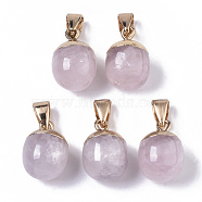 Top Golden Plated Natural Rose Quartz Pendants, with Iron Snap on Bails & Loop, Barrel, 17~19x11.5~12.5mm, Hole: 4x6mm(G-T131-03N)