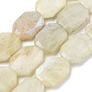 Natural Rainbow Moonstone Beads Strands, Hexagon, Faceted, 12x17x5mm, Hole: 1mm, about 24pcs/strand, 15.55''(39.5cm)(G-P544-B05-01)