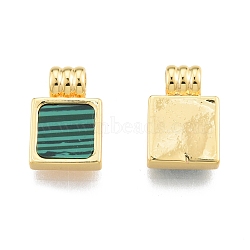 Synthetic Malachite Charms, with Real 18K Gold Plated Brass Findings, Rectangle, 13.5x9x4mm, Hole: 3mm(KK-I663-12G)
