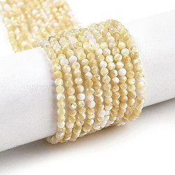 Natural Trochus Shell Beads Strands, Faceted, Round, BurlyWood, 2~2.5mm, Hole: 0.5mm, about 187~215pcs/strand, 16.02~16.14 inch(40.7~41cm)(BSHE-G036-08A-02)