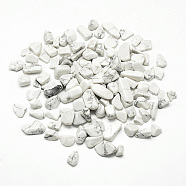 Natural Howlite Beads, No Hole/Undrilled, Chip, 5~20x5~10x3~10mm, about 850pcs/1000g(G-Q947-23)