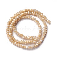 Natural Trochid Shell/Trochus Shell Beads Strands, Abacus Beads, Rondelle, Navajo White, 3x4~4.5mm, Hole: 0.9mm, about 135pcs/strand, 15.94 inch(40.5cm)(SSHEL-O001-24B-01)