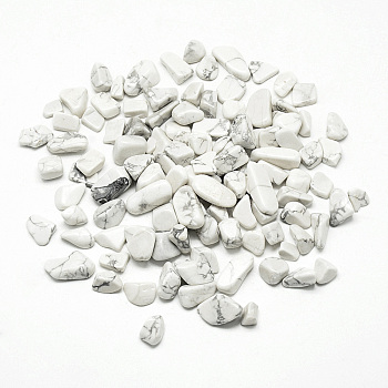 Natural Howlite Beads, No Hole/Undrilled, Chip, 5~20x5~10x3~10mm, about 850pcs/1000g