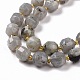 Natural Labradorite Beads Strands(G-G990-F04)-4