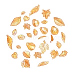 Transparent Acrylic Pendants, AB Color Plated, Leaf Charms, Orange, 10.5~41x5~26x2~5mm, Hole: 1.2~2mm, about 1068pcs/500g(AC-CBAE38D-02C)