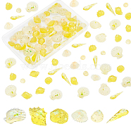 PandaHall Elite 48Pcs 3 Style Transparent Epoxy Resin Cabochons, Imitation Jelly Style, with Sequins/Paillette, Mixed Shapes, Champagne Yellow, 16pcs/style(CRES-PH0003-38)