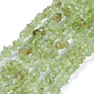 Natural Peridot Chips Beads Strands, 4~6x4~6mm, Hole: 1mm, about 31.5 inch(G-O049-B-07)