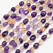 Natural Quartz Bead Strands, Tumbled Stone, Nuggets, Colorful, 8~10x8~10mm, Hole: 1mm, about 15.74 inch(G-L459-18)