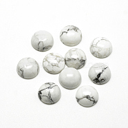Natural Howlite Cabochons, Half Round/Dome, 16x6mm(G-R416-16mm-29)
