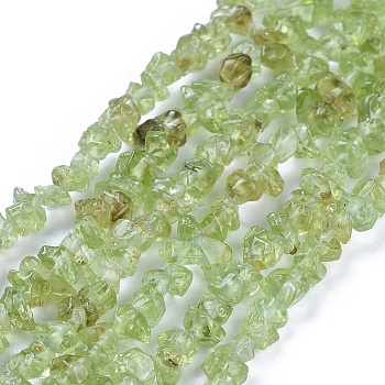 Natural Peridot Chips Beads Strands, 4~6x4~6mm, Hole: 1mm, about 31.5 inch