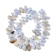 Natural Blue Lace Agate Beads Strands(G-L649-A02-01)-3