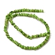 Dyed Natural Freshwater Shell Beads Strands(SH-CBA2978-04B)-3