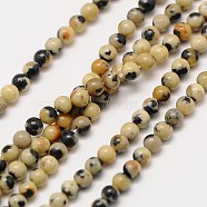 Natural Gemstone Dalmatian Jasper Round Beads Strands, 3mm, Hole: 0.8mm, about 126pcs/strand, 16 inch(G-A130-3mm-20)