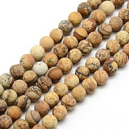 Frosted Natural Picture Jasper Round Bead Strands, 8mm, Hole: 1mm, about 47~49pcs/strand, 14.9~15.6 inch(G-M064-8mm-05)