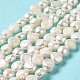 Natural Cultured Freshwater Pearl Beads Strands(PEAR-E017-07)-2