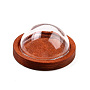 Glass Dome Cover, Decorative Display Case, Cloche Bell Jar Terrarium with Wood Base, Saddle Brown, 24x12mm