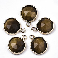 Natural Tiger Eye Charms, with Light Gold Plated Brass Edge and Loop, Half Round/Dome, Faceted, 14x11x5mm, Hole: 1.5mm(G-N326-49D)