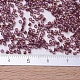 MIYUKI Delica Beads(X-SEED-J020-DB0103)-4