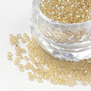 8/0 Grade A Round Glass Seed Beads, Silver Lined, Pale Goldenrod, 8/0, 3x2mm, Hole: 1mm, about 10000pcs/pound(SEED-Q007-3mm-F33)