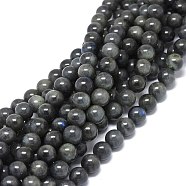 Natural Larvikite Beads Strands, Round, 10~10.5mm, Hole: 1mm, about 39pcs/strand, 15.55 inch(39.5cm)(G-O201A-07C)
