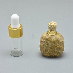 Natural Fossil Coral Openable Perfume Bottle Pendants, with Brass Findings and Glass Essential Oil Bottles, 39~50x26~29x16~21mm, Hole: 1.2mm, Glass Bottle Capacity: 3ml(0.101 fl. oz), Gemstone Capacity: 1ml(0.03 fl. oz)(G-E556-20E)