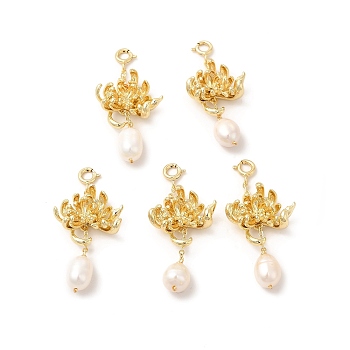 Natural Pearl Spring Ring Clasp Charms, with Brass Flower Pendants, Real 14K Gold Plated, 44.5mm, Pendant: 31.5x20mm